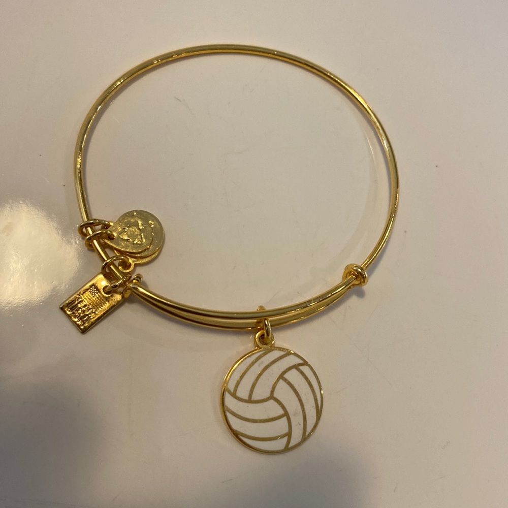 Alex and Ani Monarch Volleyball Bracelet